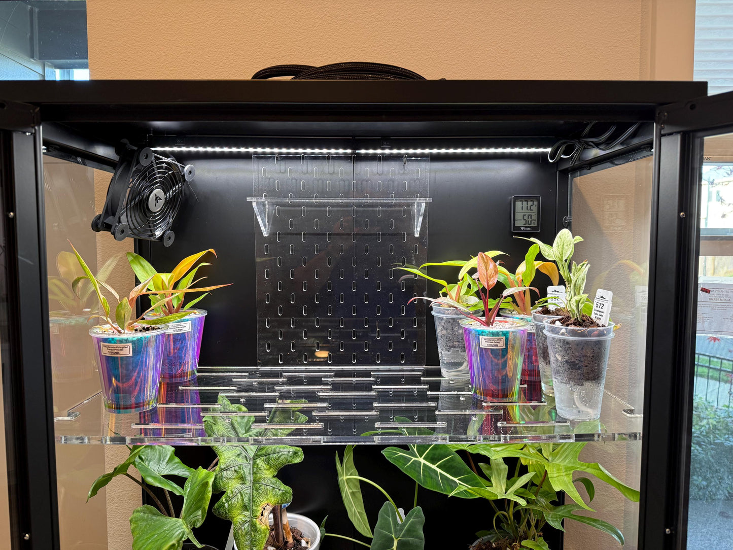 Unicoly 7-piece Shelf Set by HobbyPilled | for Glass-Walled Unicoly Cabinet | Alternative to Ikea Greenhouse