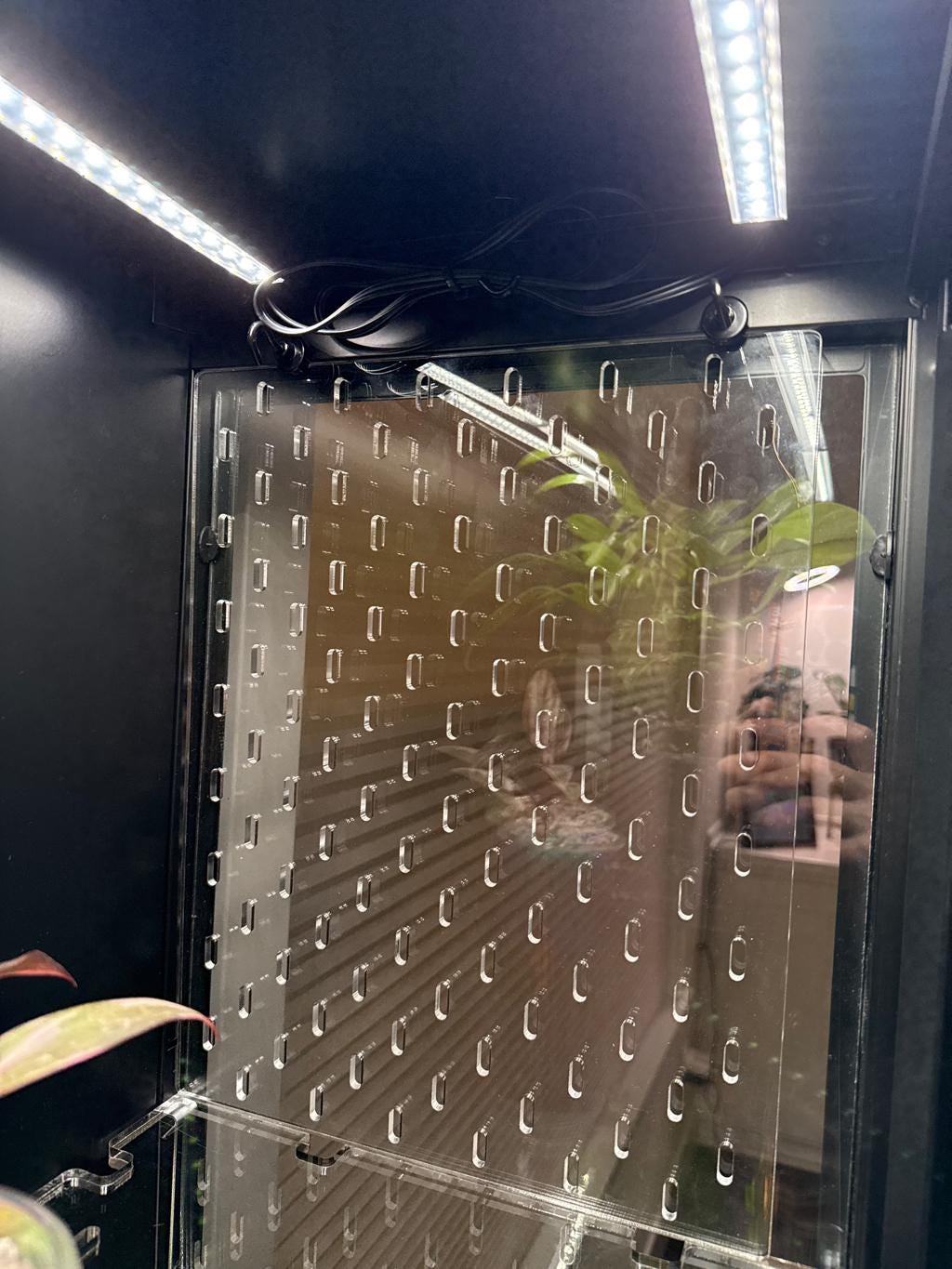 Unicoly 7-piece Shelf Set by HobbyPilled | for Glass-Walled Unicoly Cabinet | Alternative to Ikea Greenhouse