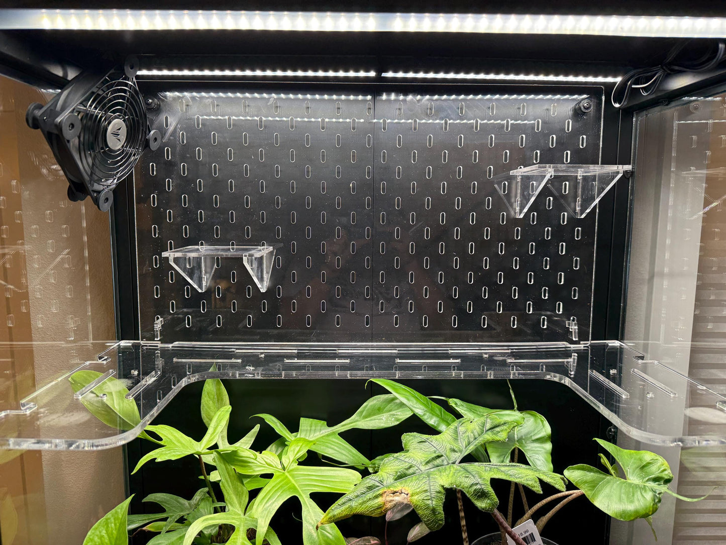 Unicoly 7-piece Shelf Set by HobbyPilled | for Glass-Walled Unicoly Cabinet | Alternative to Ikea Greenhouse