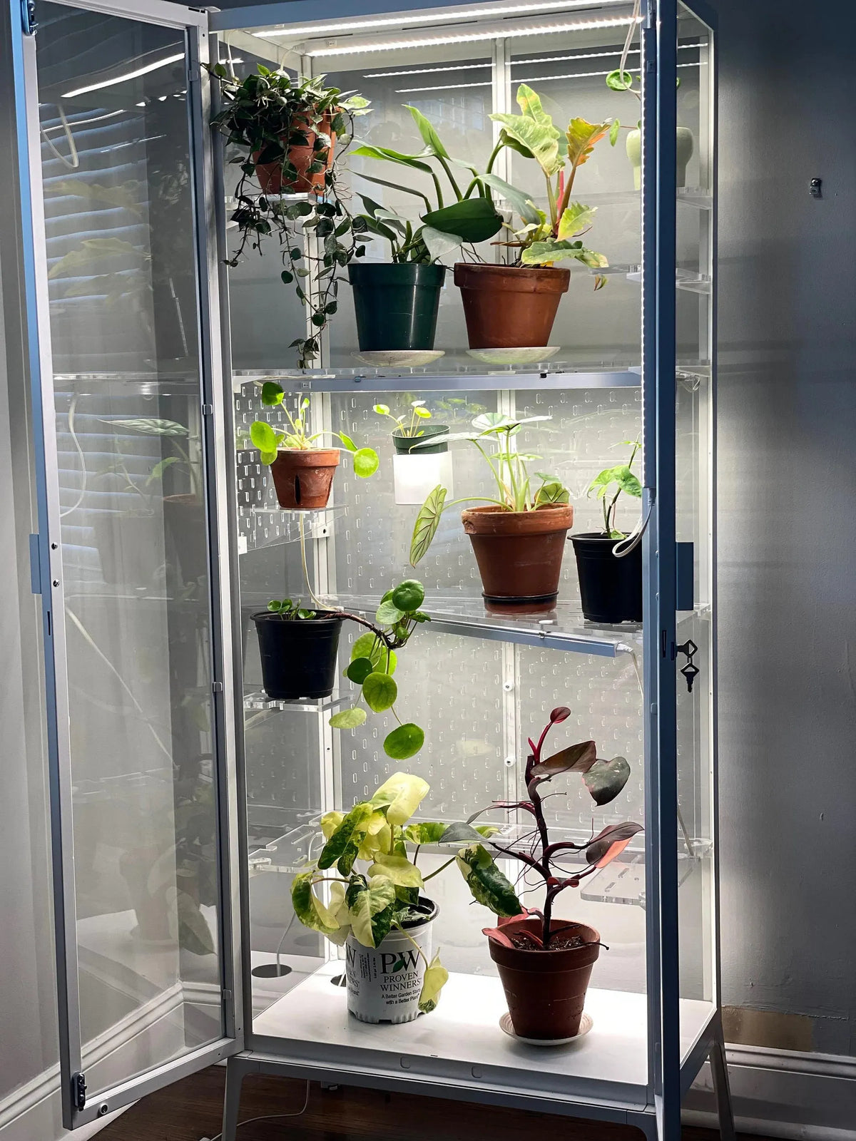 Milsbo Tall 11-Piece Shelf Set | Rear and Side Pegboard | 3/8" and 3/16" Clear Acrylic | Ikea Greenhouse