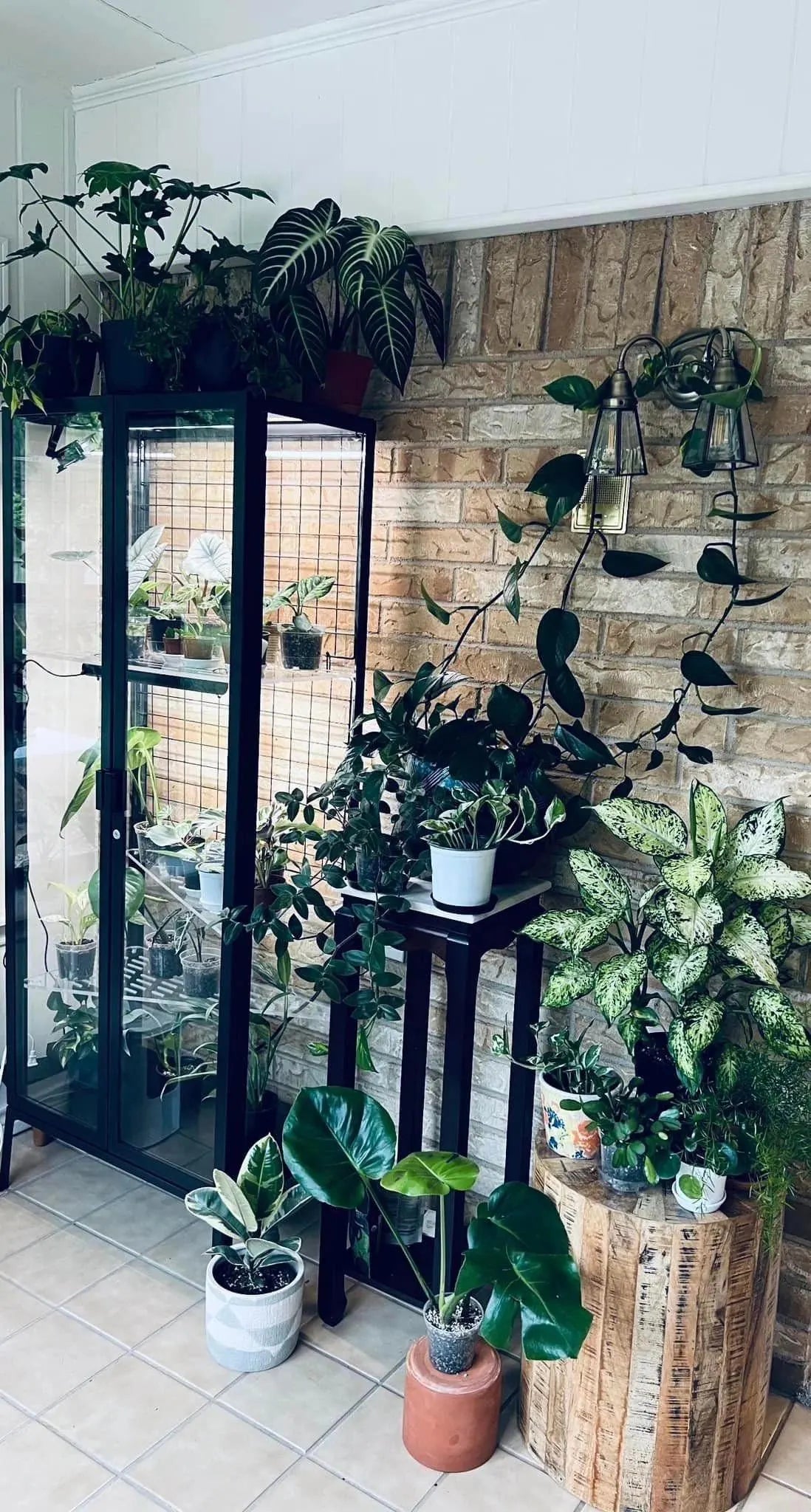 Milsbo Tall 11-Piece Shelf Set | Rear and Side Pegboard | 3/8" and 3/16" Clear Acrylic | Ikea Greenhouse