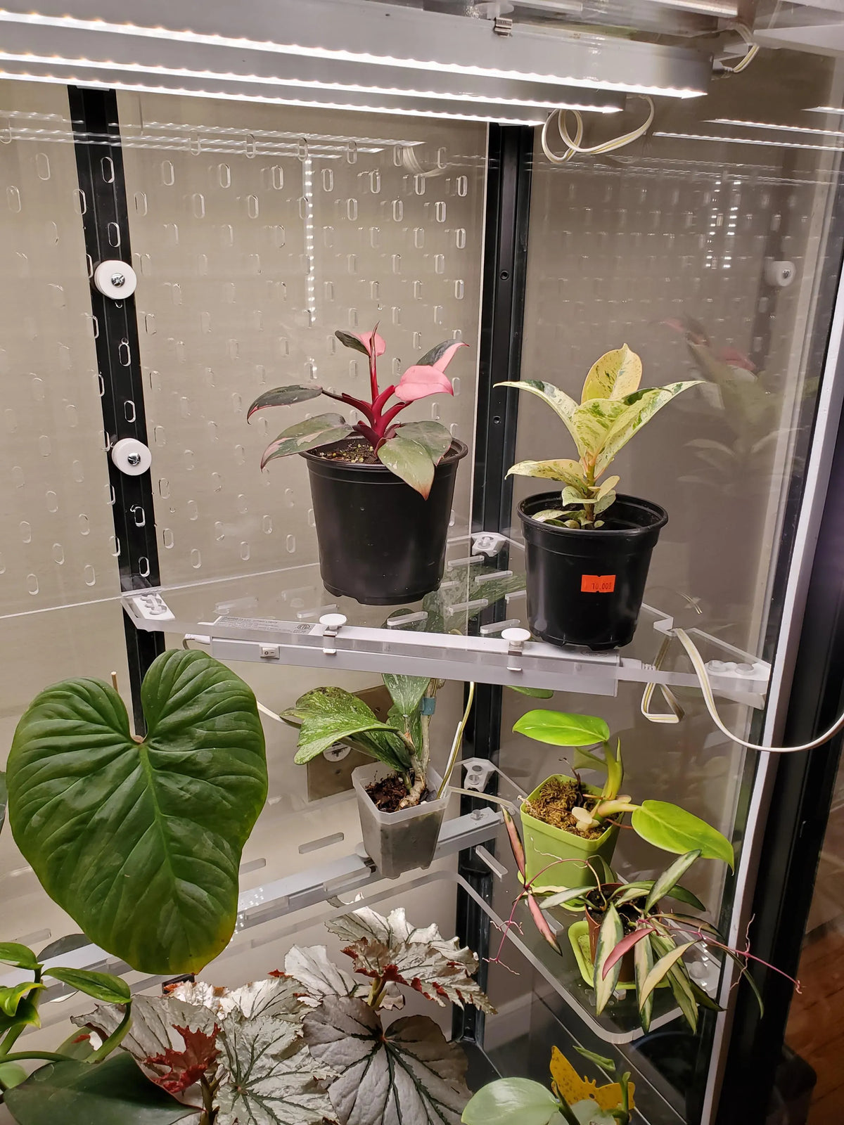 Milsbo Tall 11-Piece Shelf Set | Rear and Side Pegboard | 3/8" and 3/16" Clear Acrylic | Ikea Greenhouse