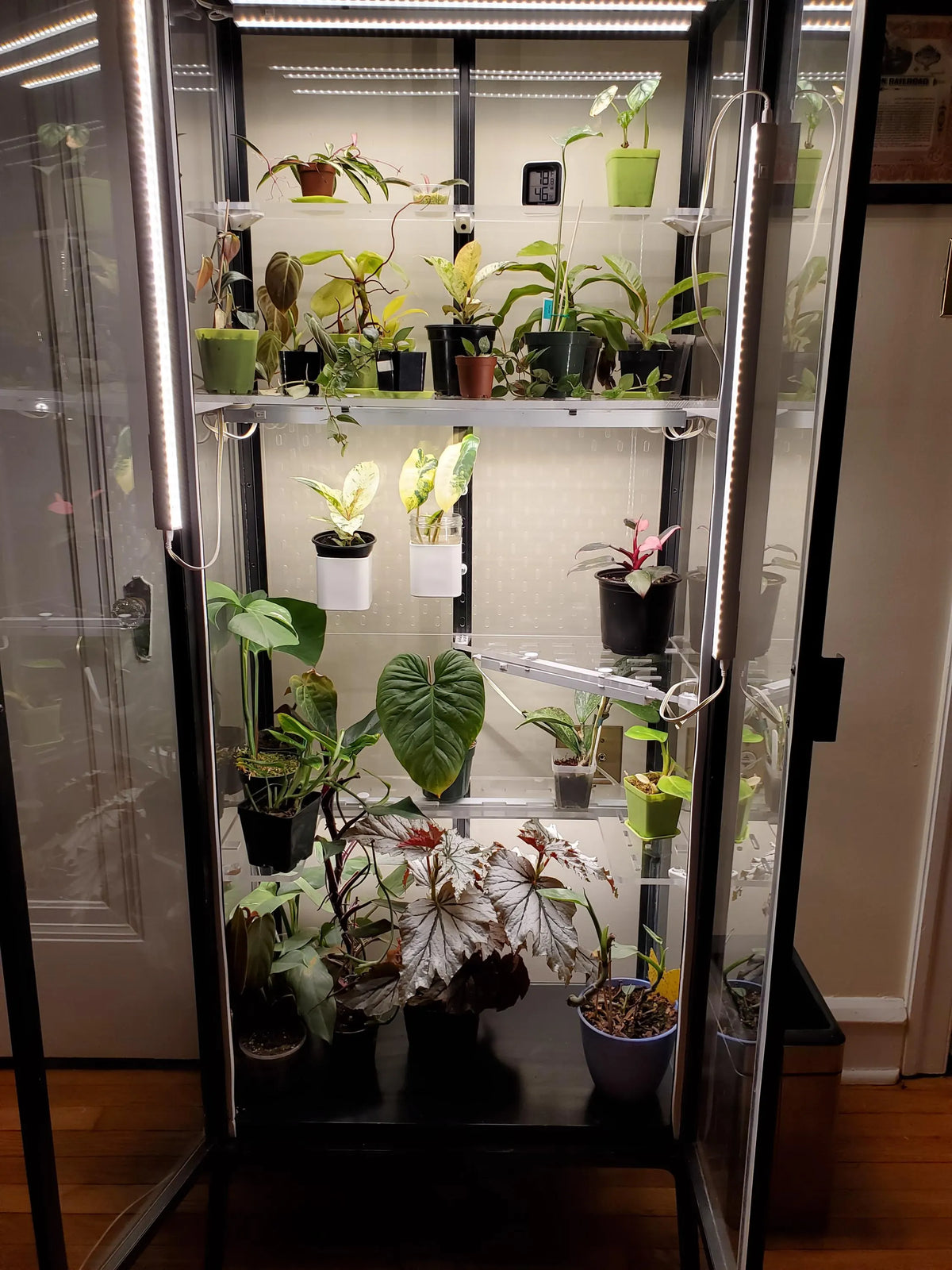 Milsbo Tall 11-Piece Shelf Set | Rear and Side Pegboard | 3/8" and 3/16" Clear Acrylic | Ikea Greenhouse