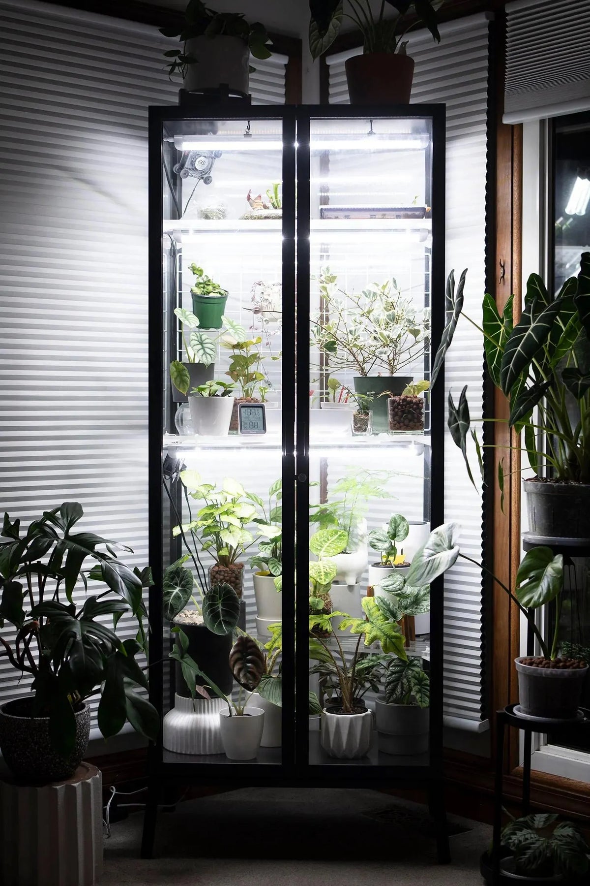 Milsbo Tall 11-Piece Shelf Set | Rear and Side Pegboard | 3/8" and 3/16" Clear Acrylic | Ikea Greenhouse